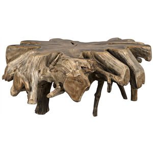 Teak Root Coffee Table