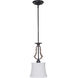 Winton 1 Light 8.5 inch Weathered Pine Mini Pendant Ceiling Light