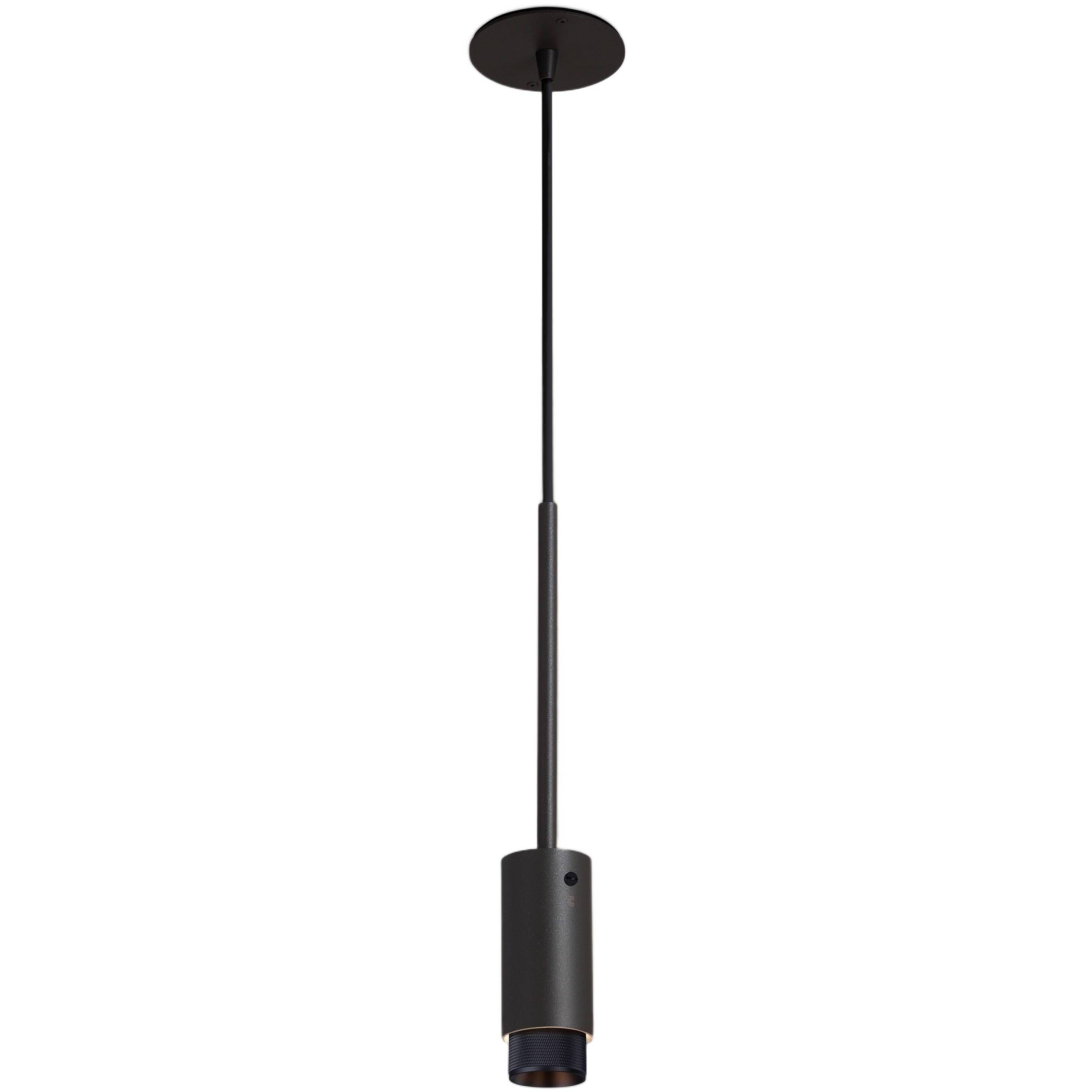 Exhaust Pendant 1 Light 110-120 Graphite / Black Spotlight Ceiling Light