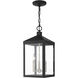 Nyack 3 Light 8.25 inch Black with Brushed Nickel Cluster Outdoor Pendant Lantern