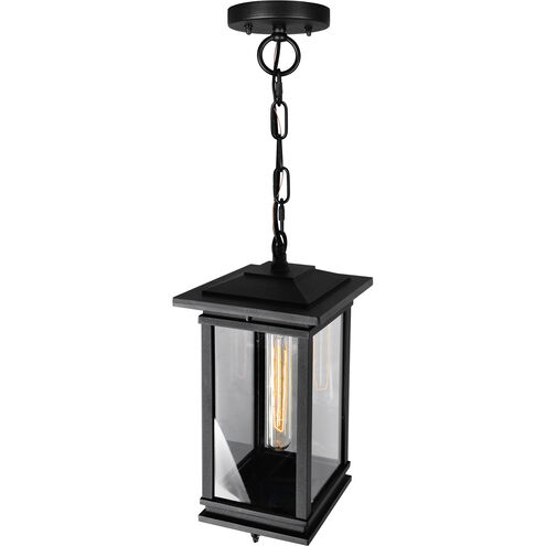Oakwood 1 Light 6.9 inch Black Outdoor Hanging Light
