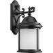 Ashmore 1 Light 21 inch Black Outdoor Wall Lantern