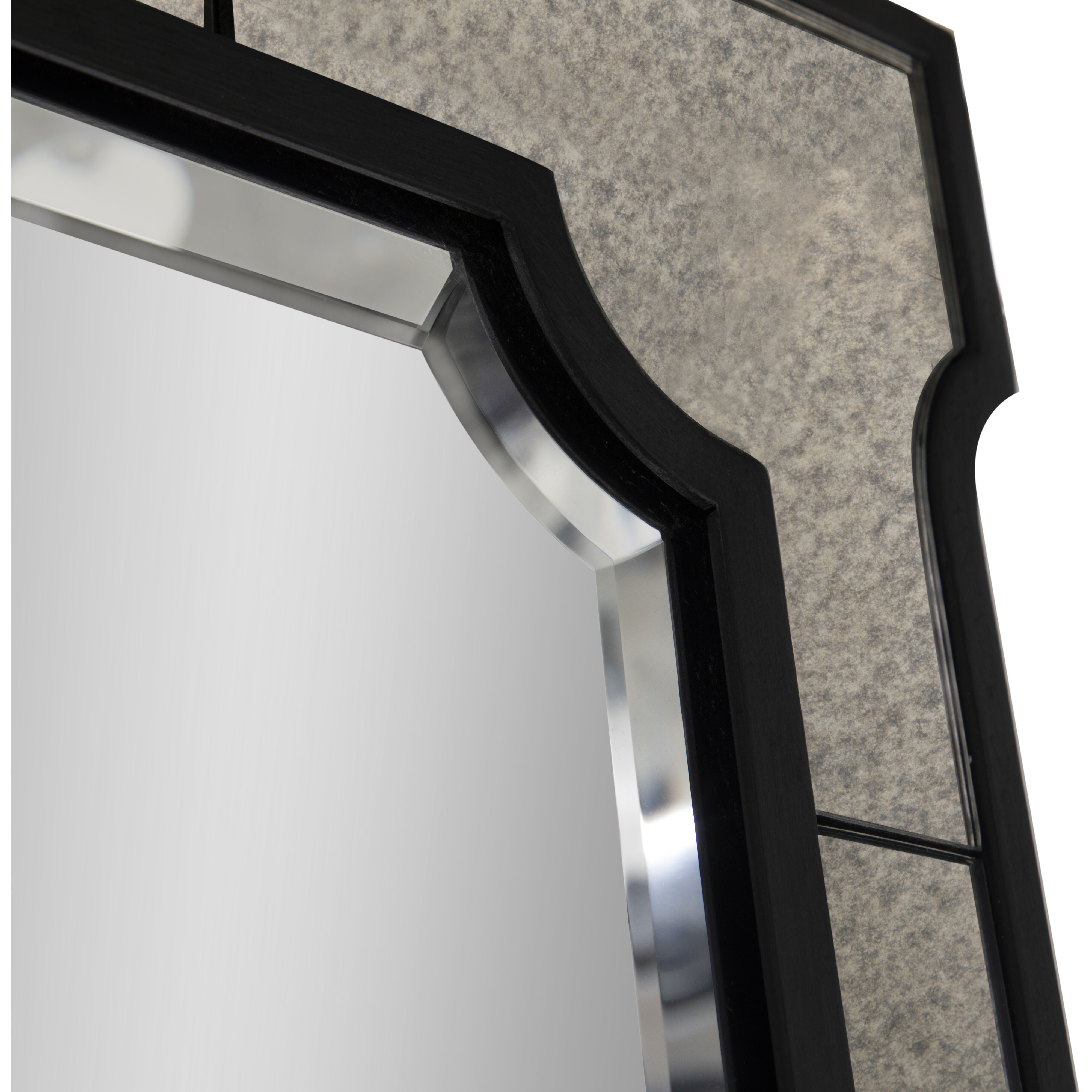 Chantel 77.75 X 37 inch Clean Mirror and Antique Mirror with Black Forged Iron Mirror