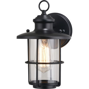 Lake Shore LED 10 inch Textured Black Outdoor Wall