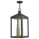 Nyack 3 Light 11 inch Bronze Outdoor Pendant Lantern