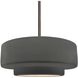 Radiance LED 14.5 inch Gloss Grey and Brushed Nickel Pendant Ceiling Light