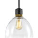 Zigrina 1 Light 10.25 inch Satin Brushed Black with Aged Brass Pendant Ceiling Light