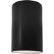 Ambiance 1 Light 5.75 inch Carbon Matte Black Wall Sconce Wall Light in Incandescent, Small