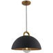 Pantheon LED 15.75 inch Rust Brass Pendant Ceiling Light in Black