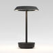 Halo 10.39 inch Matte Black Interior Portable Light