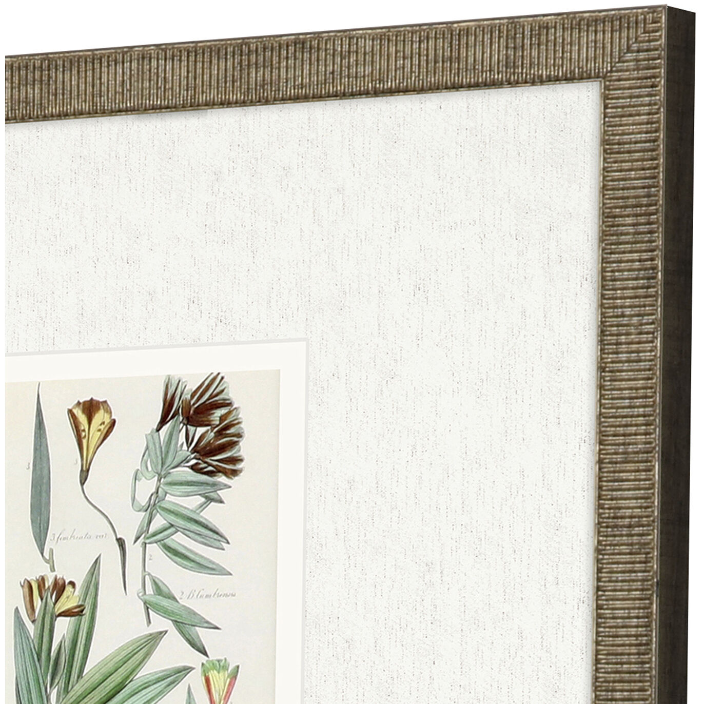 Antique Botanical Green and Beige and Multi and Neutral Framed Art