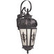Berkshire 1 Light 30 inch Bronze Outdoor Wall Lantern