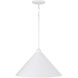 Alden 1 Light 18 inch Matte White Pendant Ceiling Light