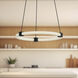 Bruni LED 16.5 inch Black Pendant Ceiling Light