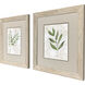 Botanical Bliss Green and Beige and White Framed Art, Propac