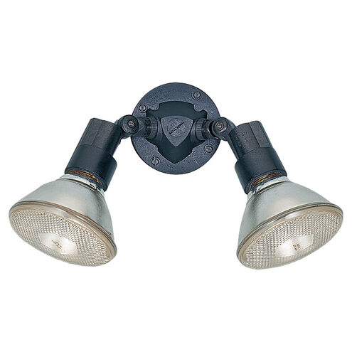 Flood Light 2 Light 11 inch Black Outdoor Wall Or Ceiling Flush Mount