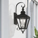 Adams 2 Light 21.5 inch Black with Brushed Nickel Finish Cluster Outdoor Wall Lantern in Black with Brushed Nickel Accent, Medium