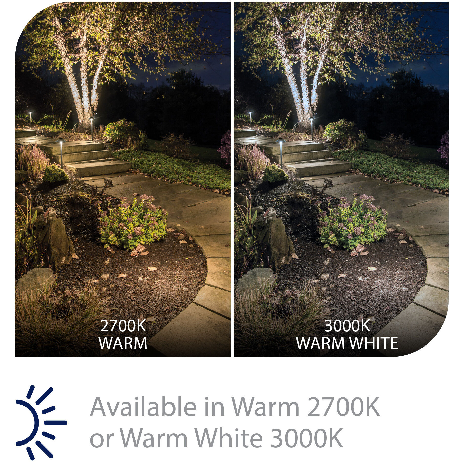 WAC Lighting 6011 27BBR Round 12 5.8 watt Solid Brass Coated in Bronze Path Lighting in 2700K Bronzed Brass Path and Area Light WAC Landscape