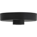 Sean Lavin Modern Nightshade Black Line-Voltage Shallow Canopy