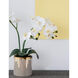 Stripe White Faux Orchid