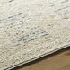 Davey 36 X 24 inch Desert Tan / Khaki Handmade Rug in 2 x 3