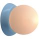 Ambiance LED 4.5 inch Sky Blue Wall Sconce Wall Light