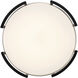 Bezel Set LED 15 inch Coal With Brushed Nickel Flush Mount Ceiling Light