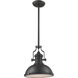 Chadwick 1 Light 13 inch Matte Black Pendant Ceiling Light