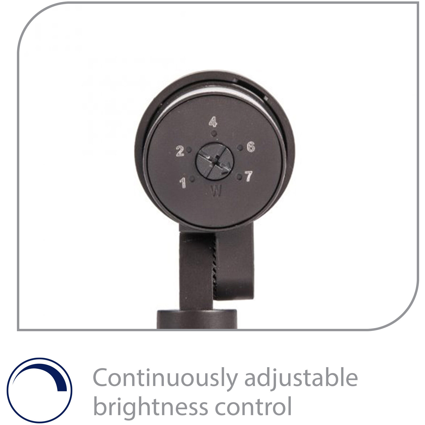 Tyler Solid Brass Coated in Bronze 7 watt LED Spot and Flood Lighting in 3000K, Bronzed Brass, Low Voltage Accent Light, WAC Landscape