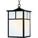 Coldwater 1 Light 9 inch Black Outdoor Hanging Lantern in White