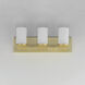 Lateral 3 Light 20 inch Satin Brass Bath Vanity Wall Light in Satin White