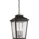 Irvington Manor 4 Light 12.5 inch Chelesa Bronze Outdoor Chain Hung Lantern in Incandescent, Clear Seeded Glass, The Great Outdoors