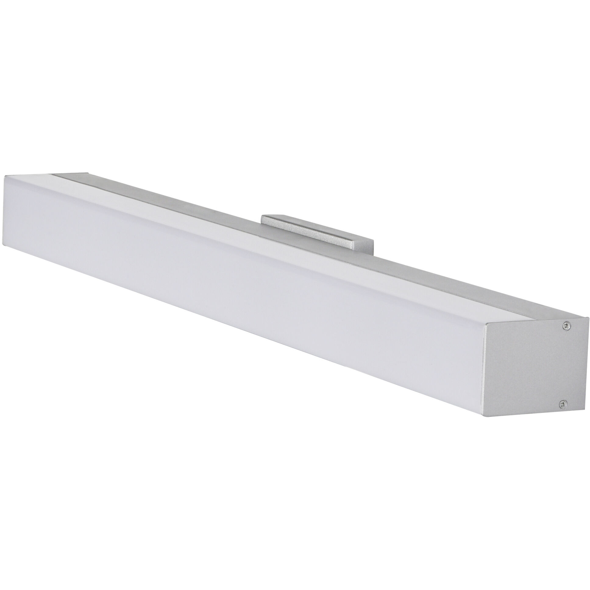 Procyon 24 inch Silver Bathroom Vanity Light Wall Light