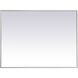 Monet 36 X 27 inch Silver Wall Mirror