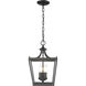 Kennedy 3 Light 10 inch Matte Black Chandelier Ceiling Light