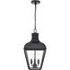 Edenton 3 Light 11 inch Matte Black Outdoor Hanging Pendant