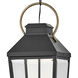 Dawson 9 inch Black with Burnished Bronze Outdoor Hanging Lantern