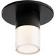 Twist-N-Lite LED 5 inch Black Flush Mount Ceiling Light