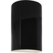 Ambiance 1 Light 9.5 inch Gloss Black Outdoor Wall Sconce in Incandescent, Small