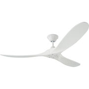 Indoor Ceiling Fans