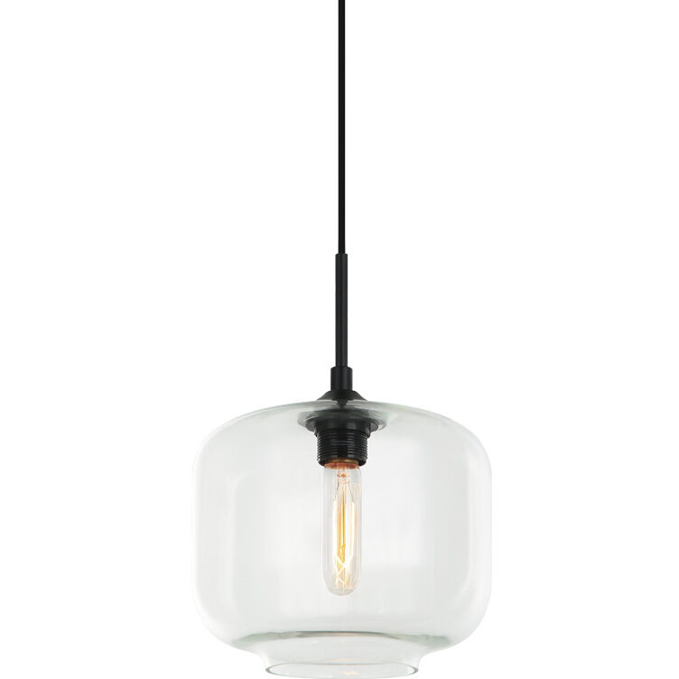 Irresistible Organic Charm 1 Light 9.88 inch Clear Pendant Ceiling Light