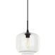 Irresistible Organic Charm 1 Light 9.88 inch Clear Pendant Ceiling Light