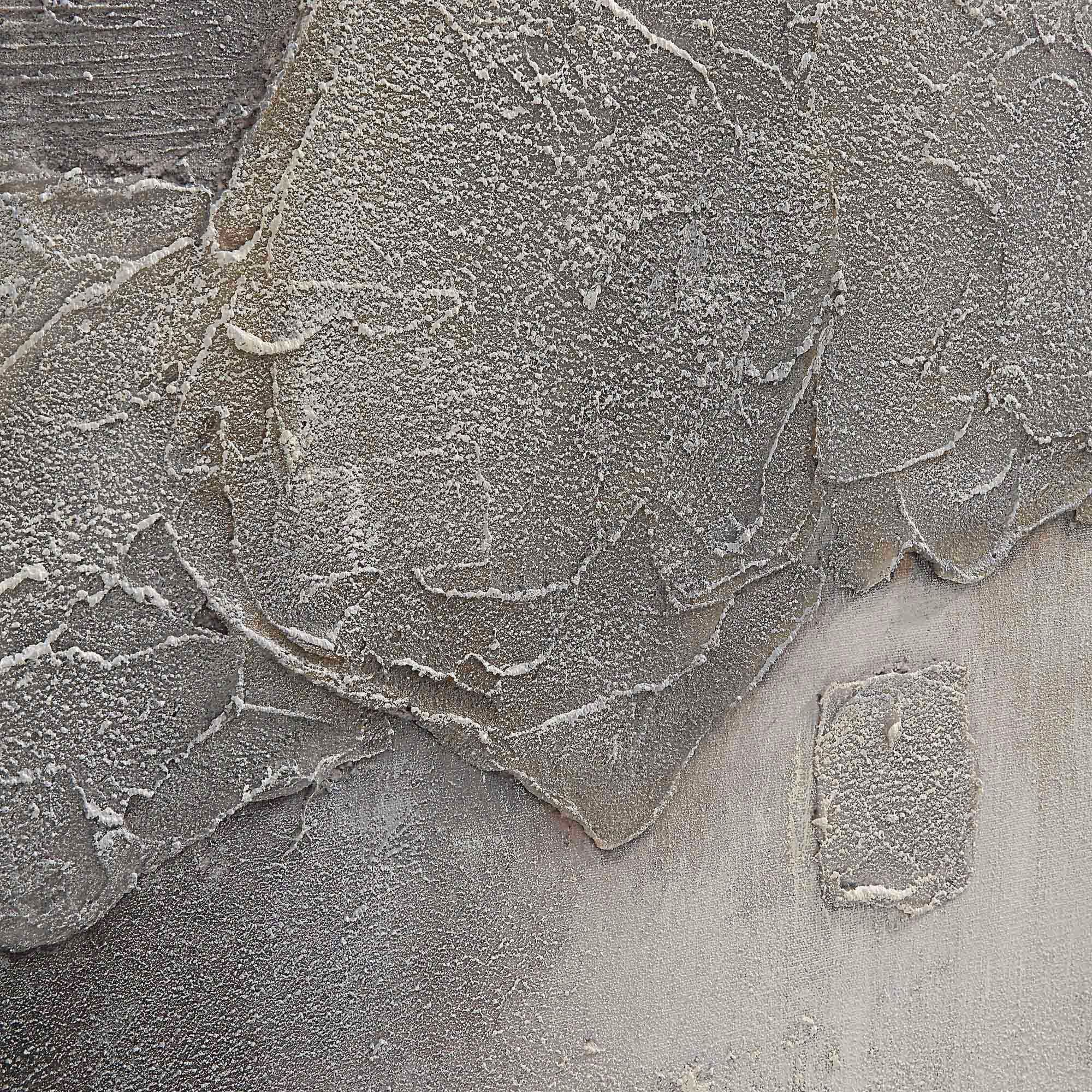 Sirius Grey/White Canvas Art