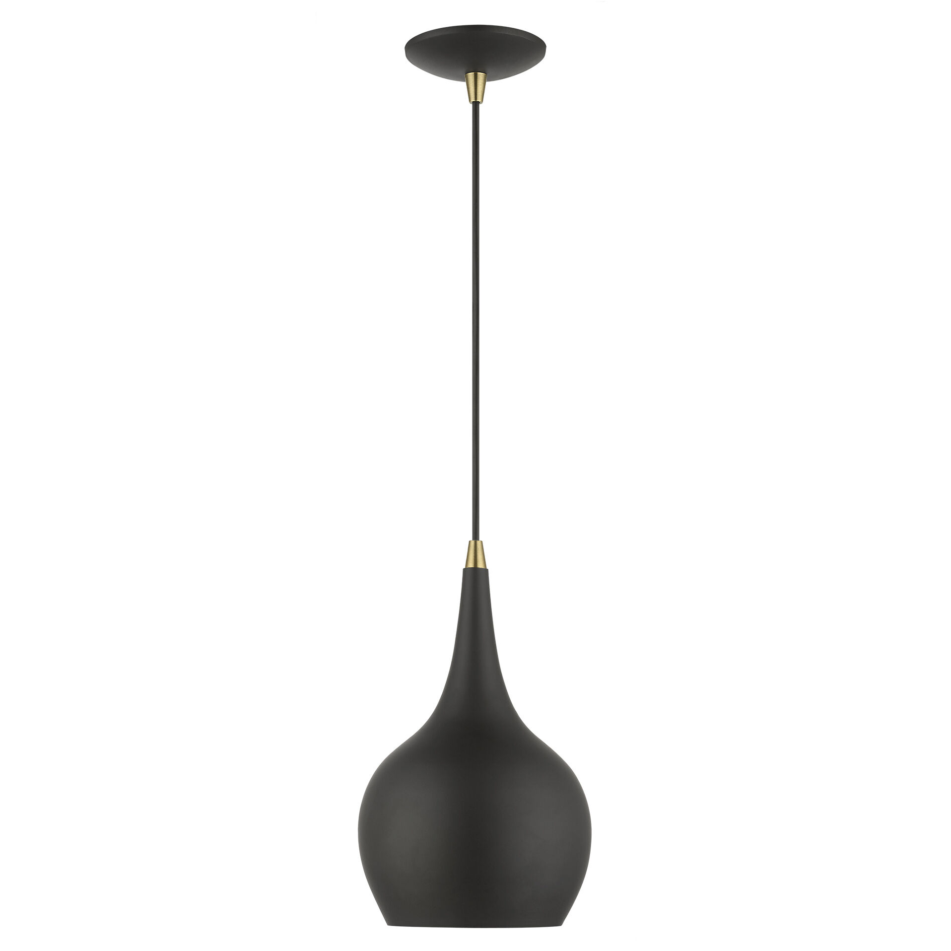 Andes 1 Light 7.75 inch Black with Antique Brass Accents Mini Pendant Ceiling Light