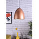 Circa 1 Light 9.5 inch Honey Gold Pendant Ceiling Light