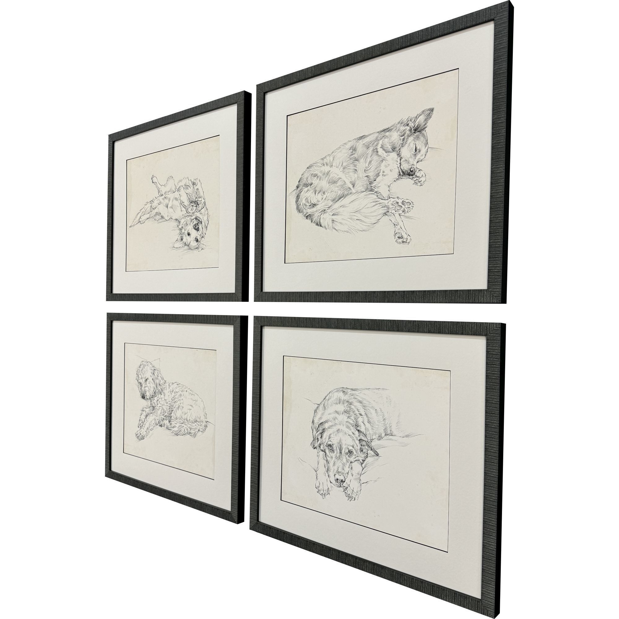 Antique Dog Sketch Beige and Neutral Framed Art