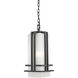 Abbey 1 Light 7.75 inch Outdoor Pendant/Chandelier