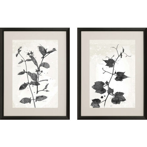 Garden Vines Black and Beige and Neutral and White Framed Art