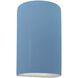 Ambiance LED 7.75 inch Sky Blue Wall Sconce Wall Light