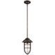 Dylan 1 Light 7.50 inch Outdoor Pendant/Chandelier